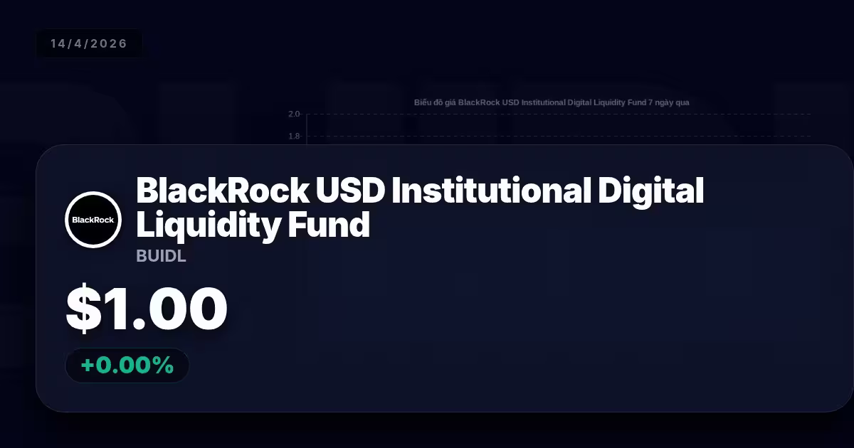 BlackRock USD Institutional Digital Liquidity Fund hôm nay: Phân tích chuyên sâu từ vĩ mô đến vi mô