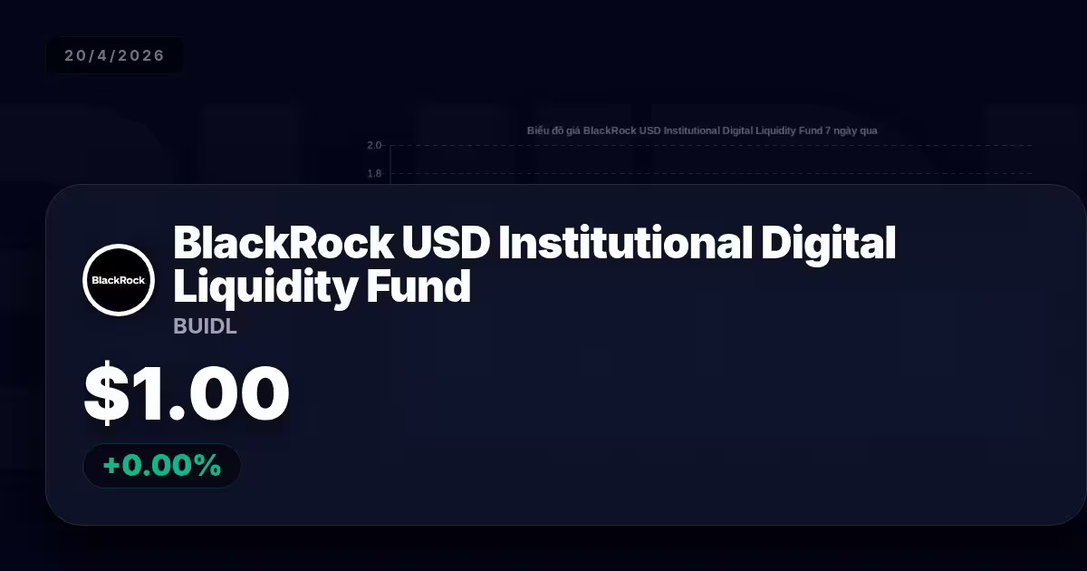 blackrock usd institutional digital liquidity fund premium thumbnail 6 StopVN