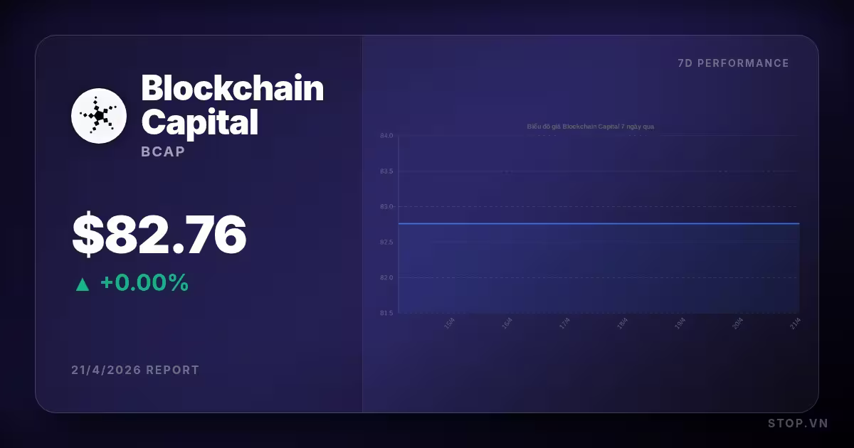 Phân tích sâu sắc về Blockchain Capital hôm nay: Cơ hội và thách thức đầu tư tiền điện tử