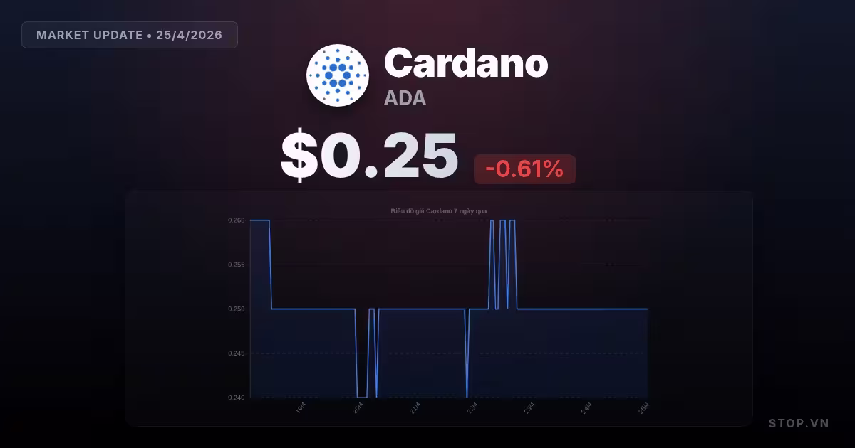 cardano premium thumbnail 12 StopVN