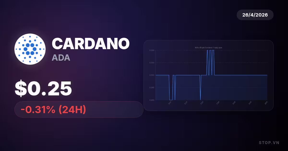 cardano premium thumbnail 13 StopVN