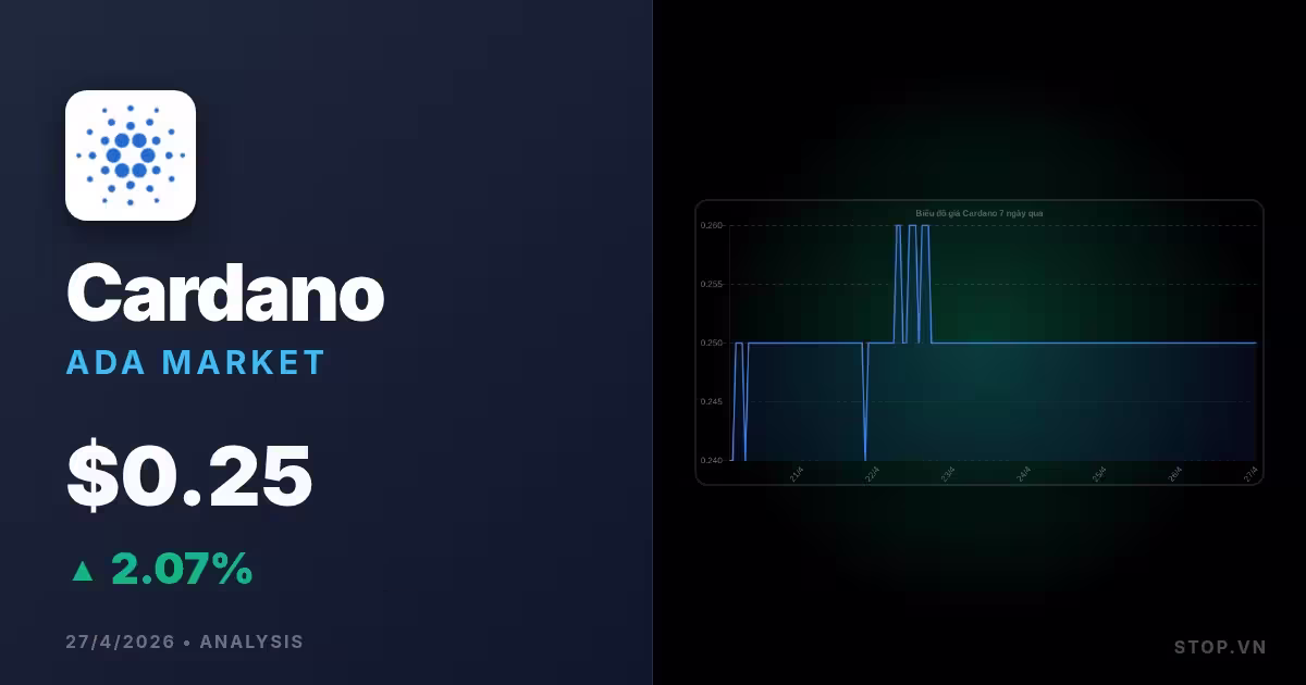 cardano premium thumbnail 14 StopVN
