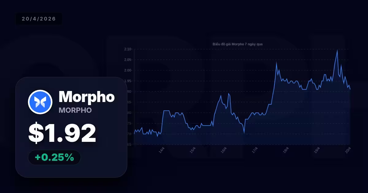 Morpho hôm nay: Phân tích thị trường đầy đủ và chiến lược giao dịch chi tiết