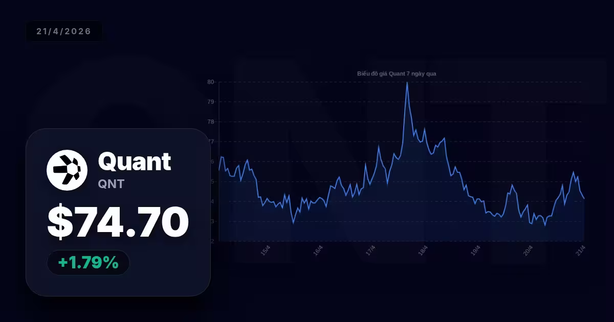 Định vị Quant hôm nay: Đánh giá và nhìn lại xu hướng dữ liệu thị trường