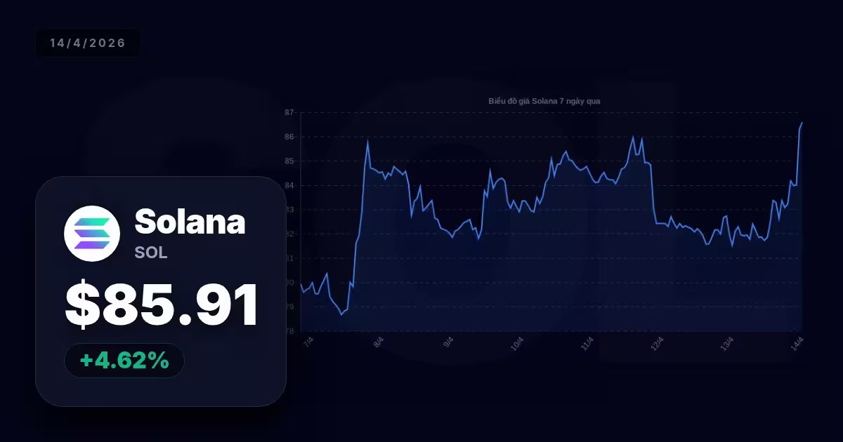 Solana hôm nay: Tương lai nào cho một trong những ngôi sao sáng nhất thị trường Crypto?
