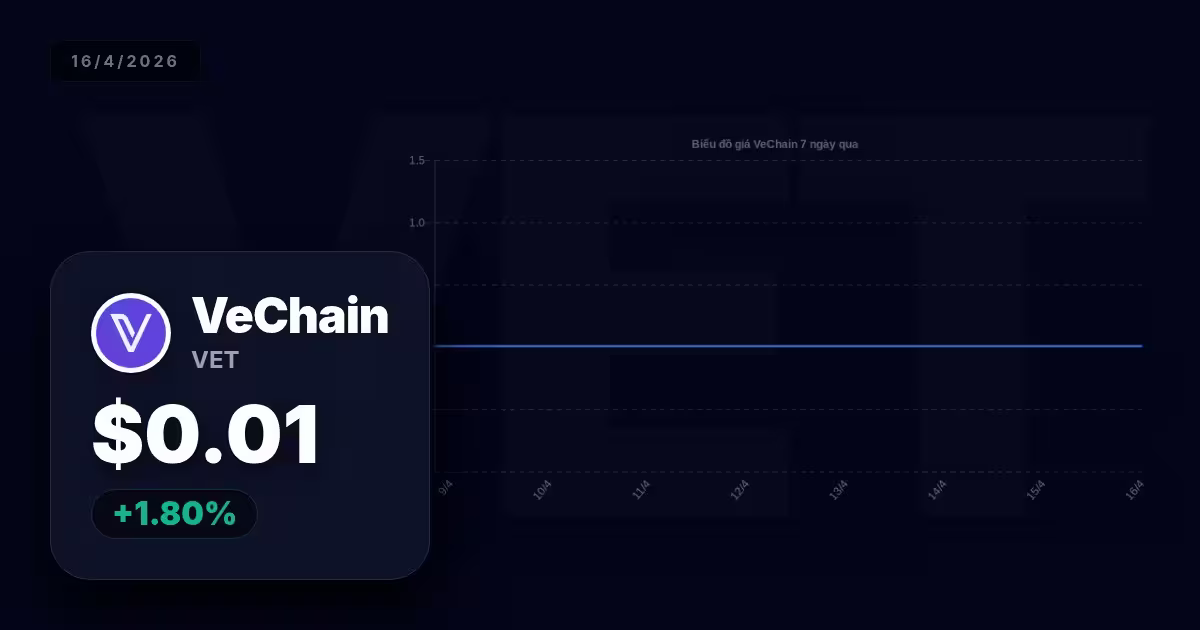 VeChain hôm nay: Sự thay đổi và cơ hội nào cho tương lai?