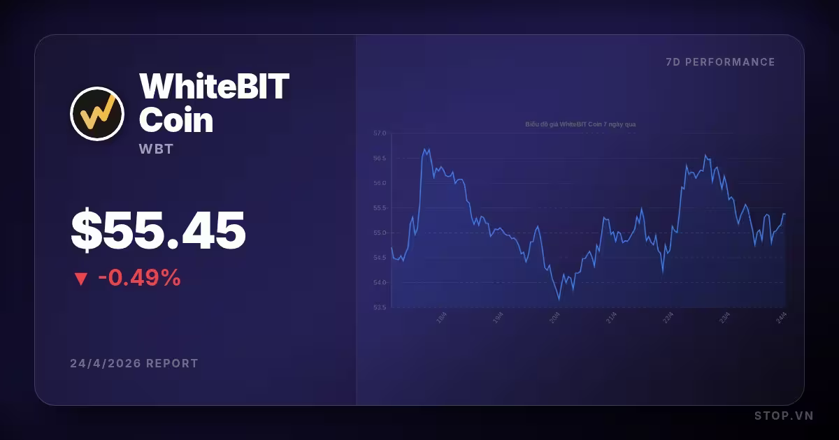 whitebit premium thumbnail 11 StopVN