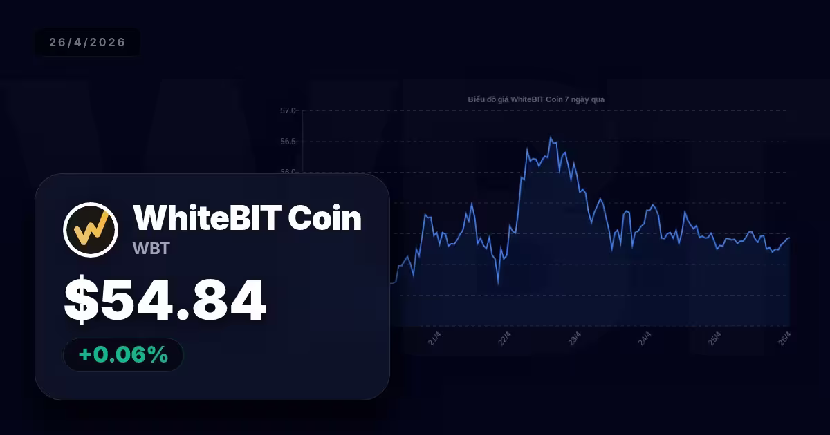 whitebit premium thumbnail 13 StopVN