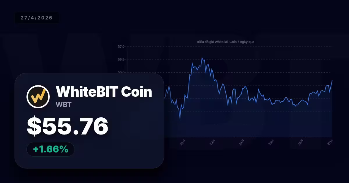 whitebit premium thumbnail 14 StopVN